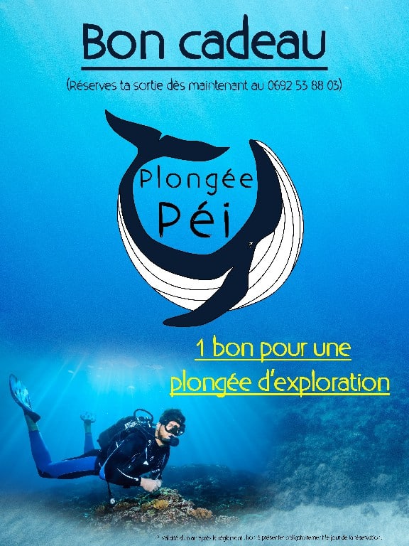 Sweat à Capuche Humoristique "J'Peux Pas J'ai Plongée" - Cadeau Pour Plongeur, Apnéiste, Amoureux De La Mer - Coupe Classique, 241 G